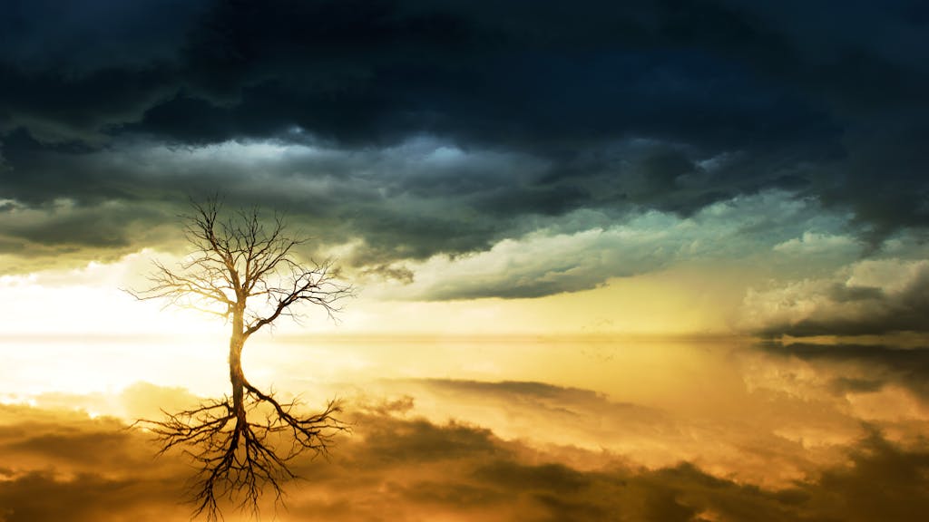 Photo of Bare Tree Under Cloudy Sky